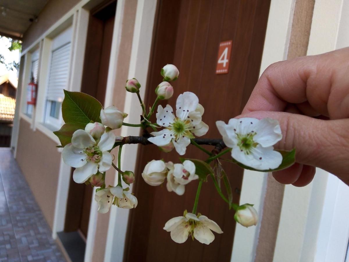 Caminho Rosas - Temporada Ou Diaria Em Casa de hóspedes *