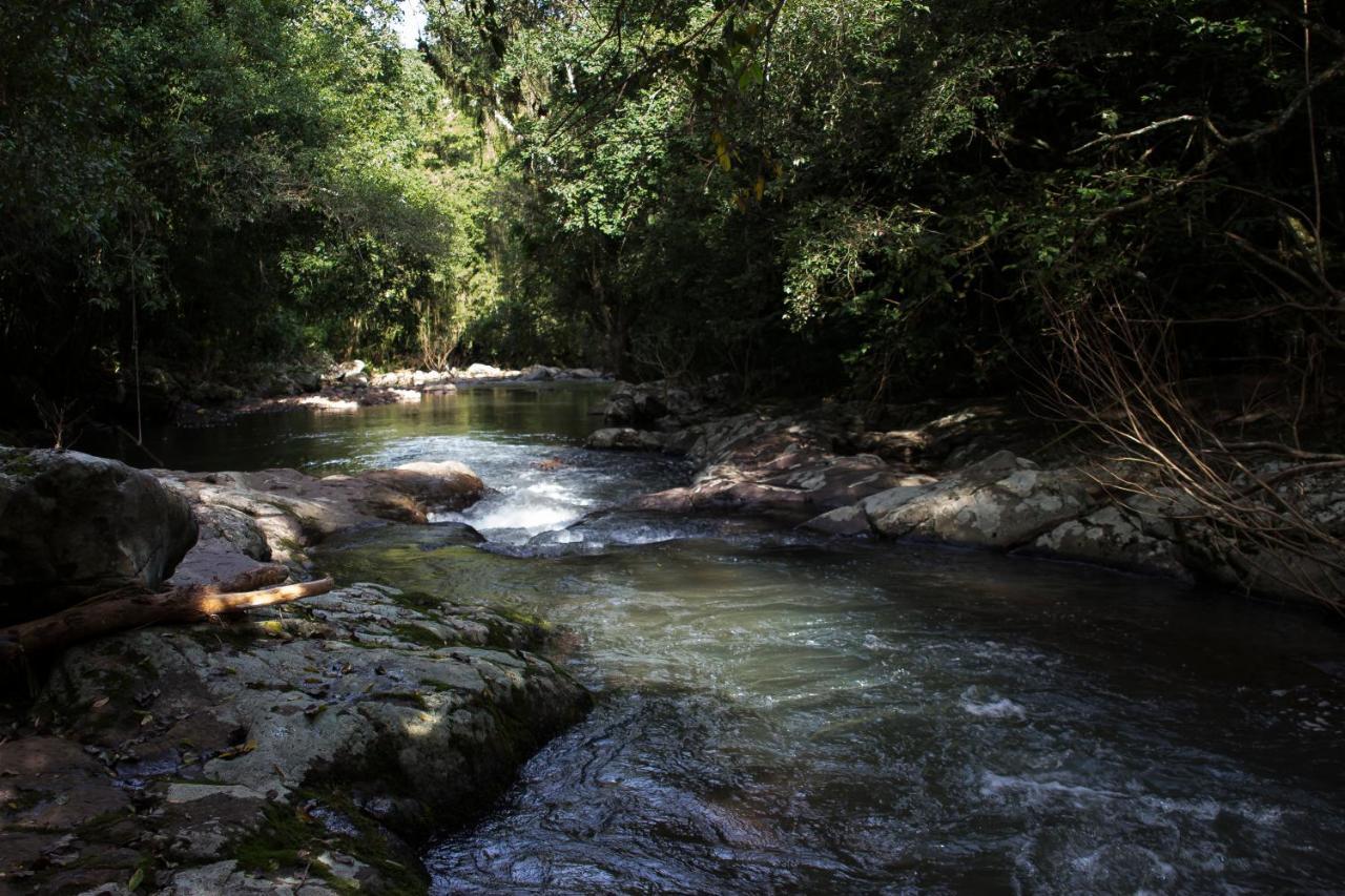 Dos Platanos Gramado