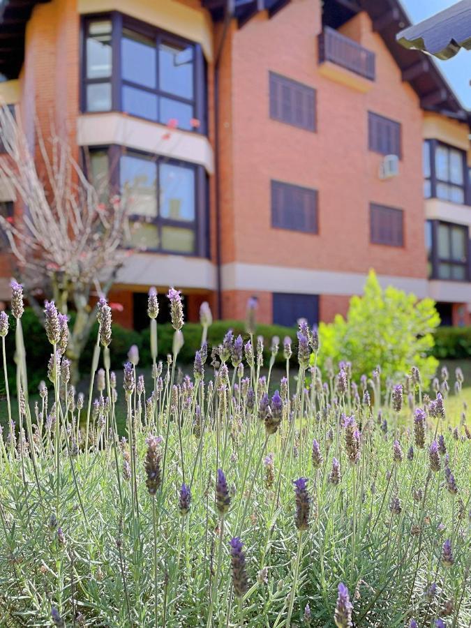 Aconchegante Apto 2 Dormitorios Com Piscina Aquecida Apartamento Gramado