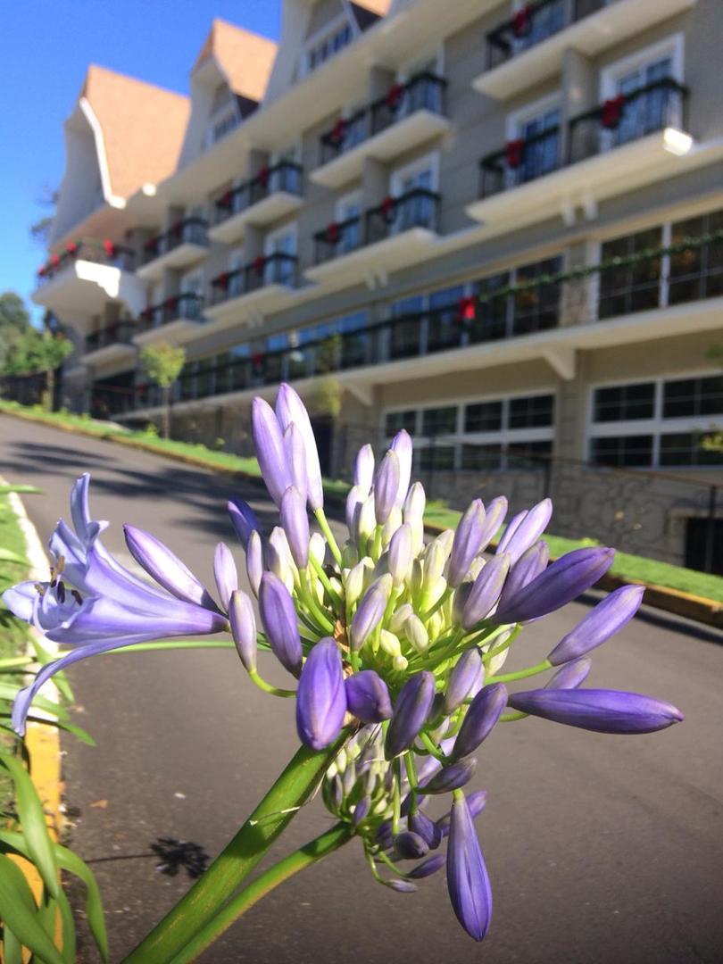 Daara Transamerica Collection Hotel Gramado