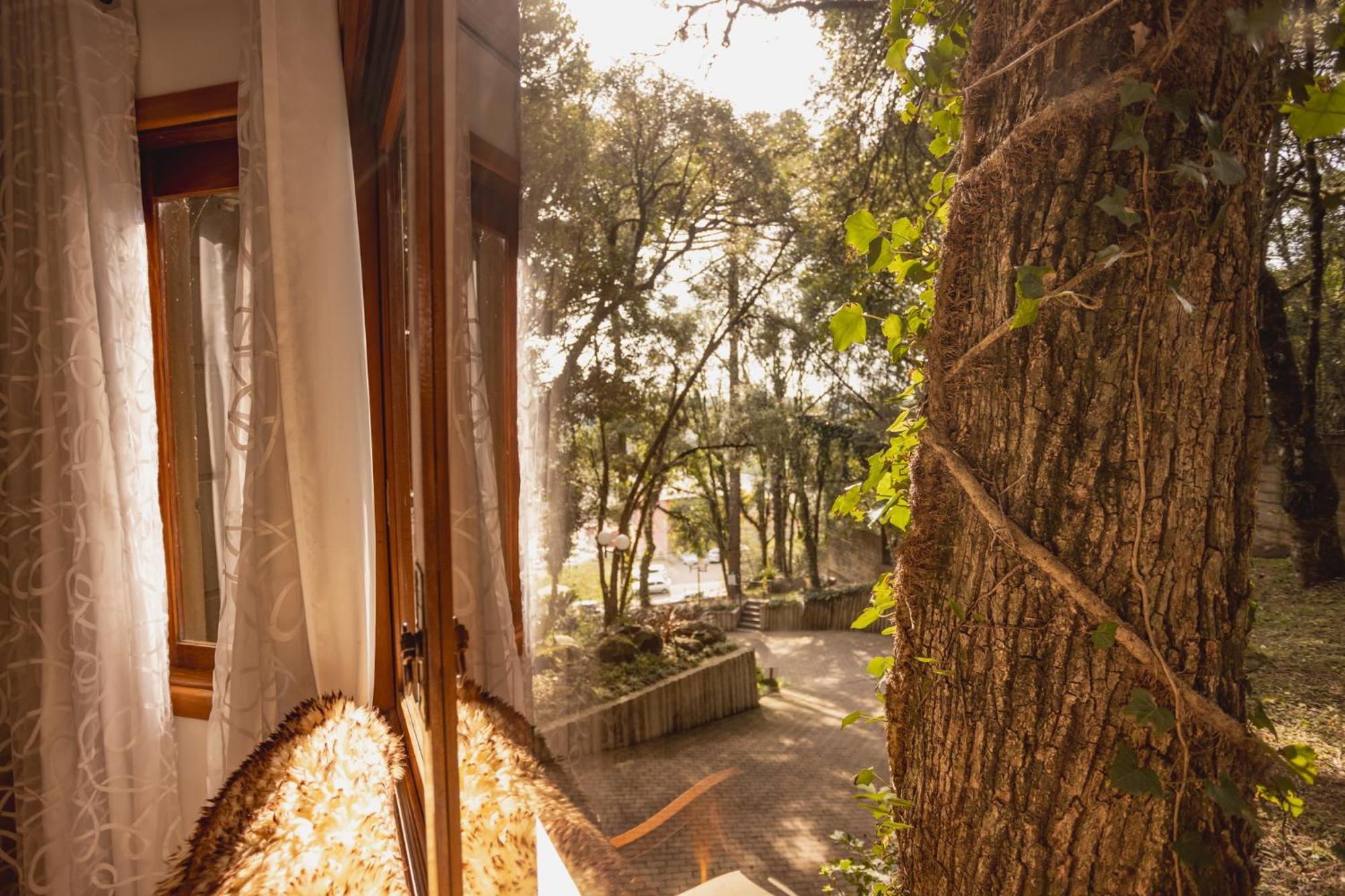 Lagos De Apartamento