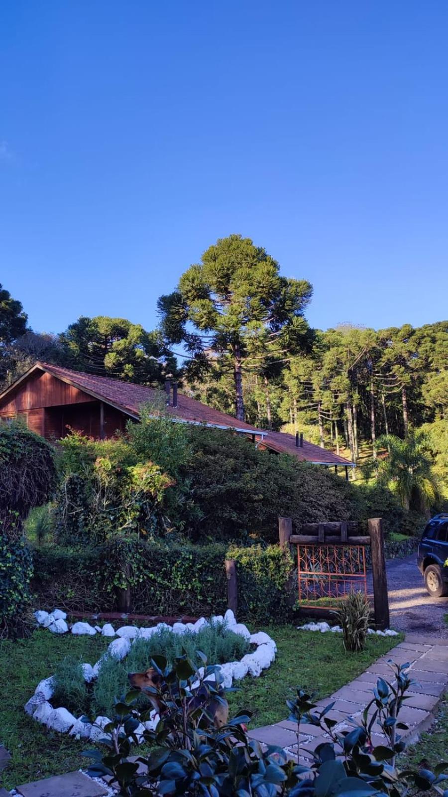 Reserva Da Collina *