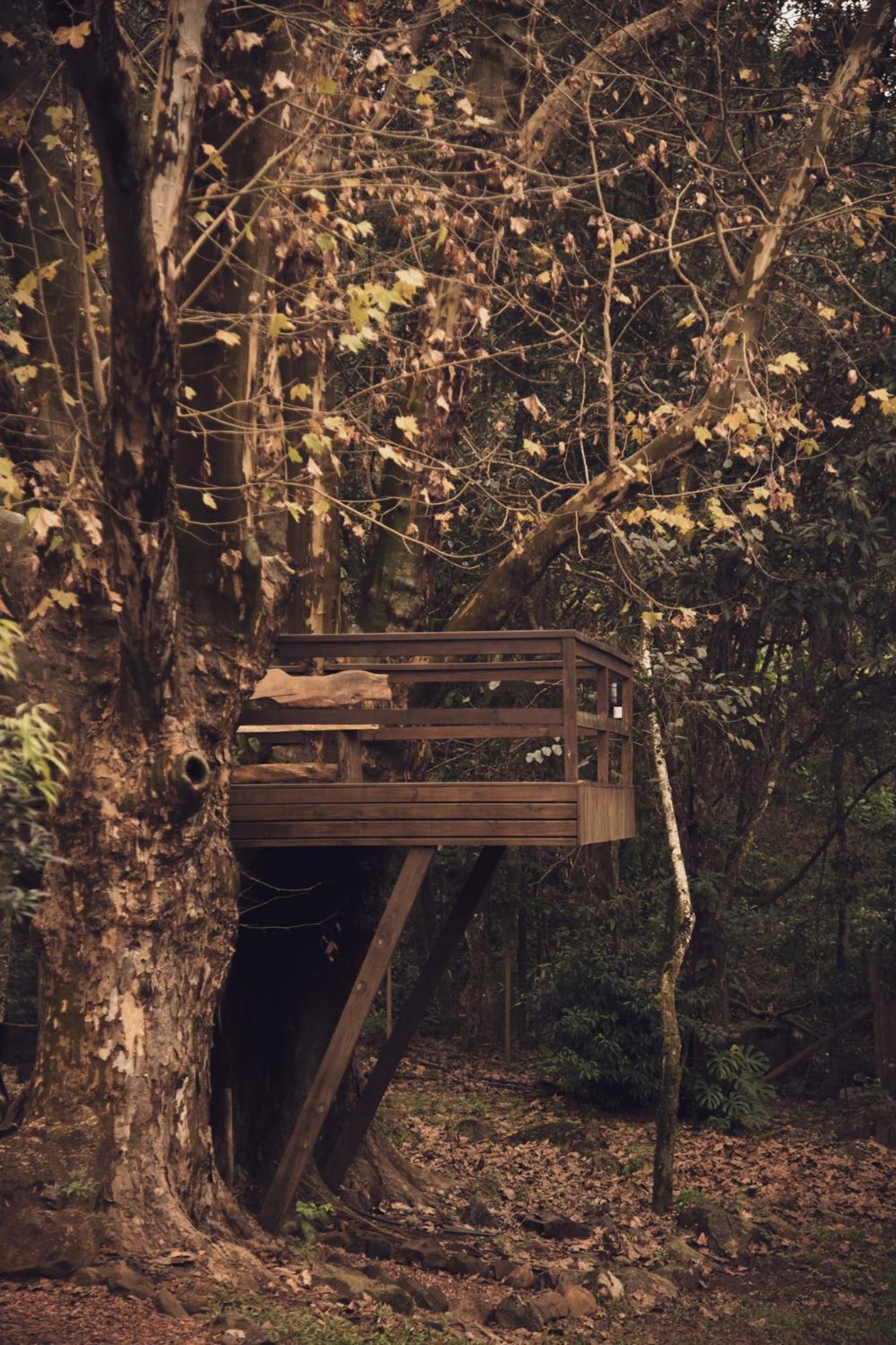 Chalé Dos Platanos Gramado