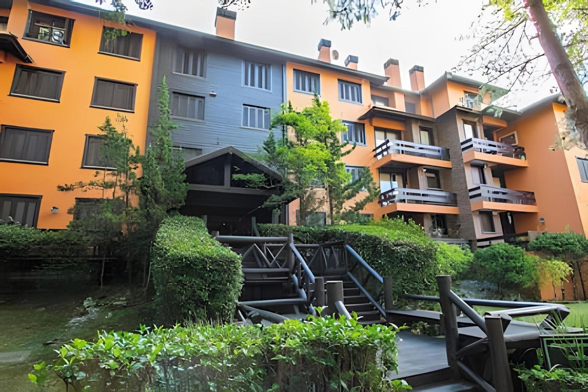 Rosa Edificio Knorrville Gramado