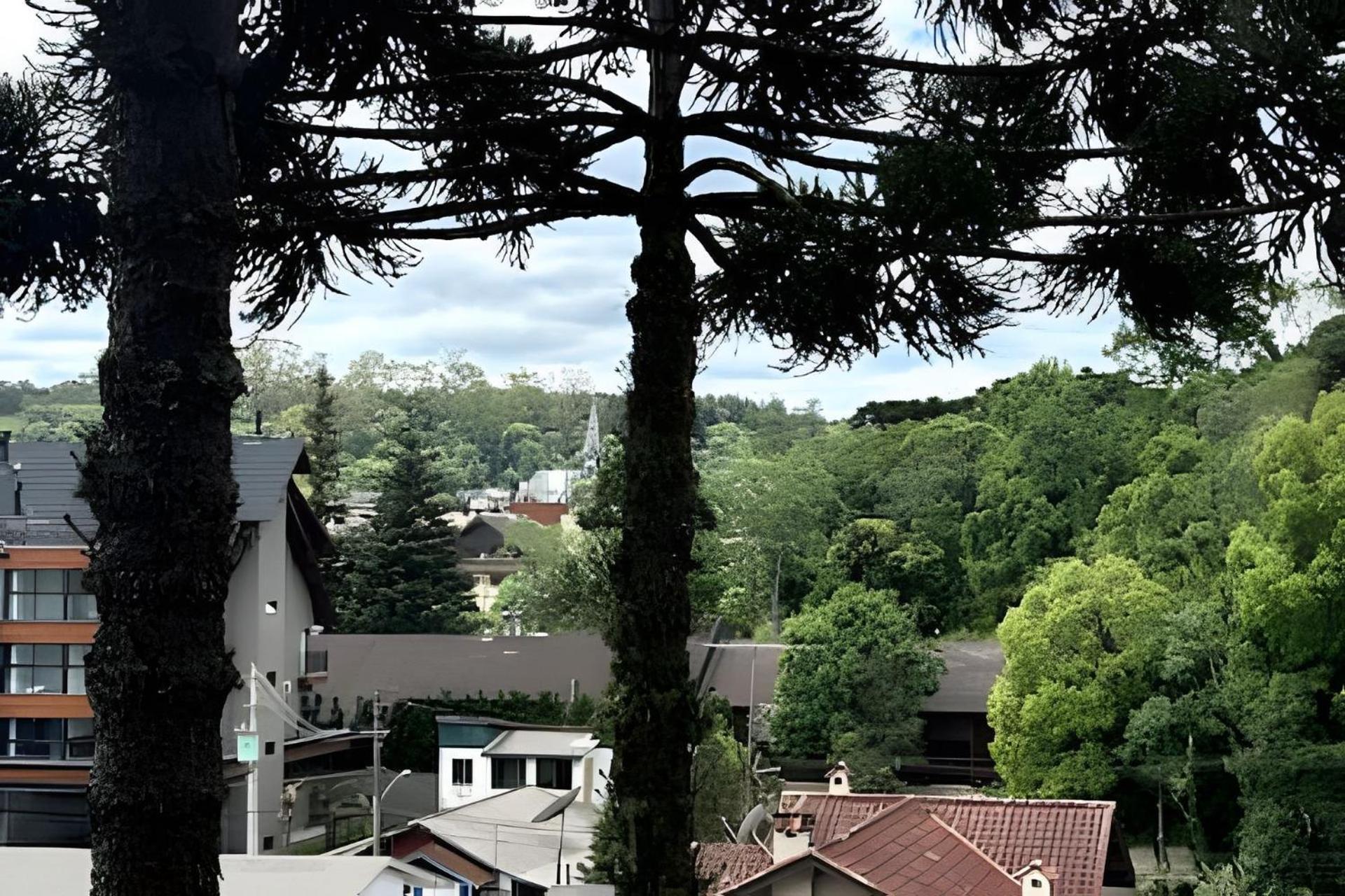 400m Ate A Rua Coberta Apartamento Gramado
