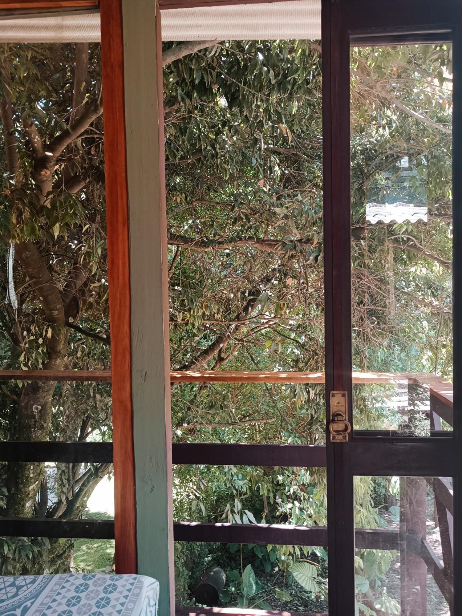 Gramado Guest House