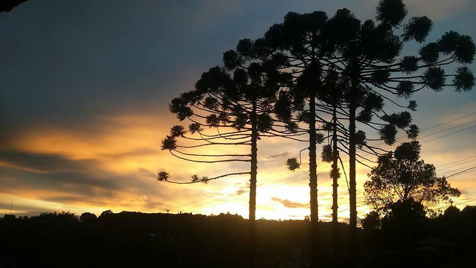 Caminho Colinas Hospedagem domiciliar