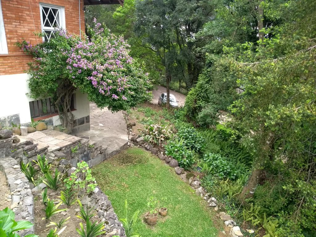 Geier Gramado
