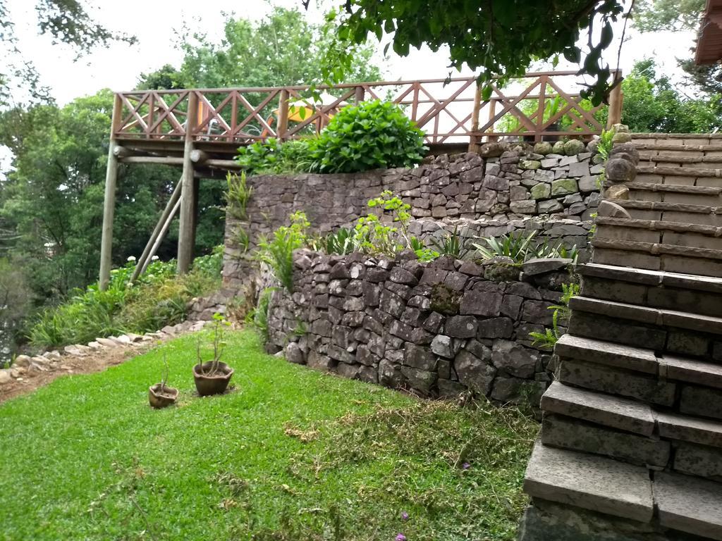 Geier * Gramado