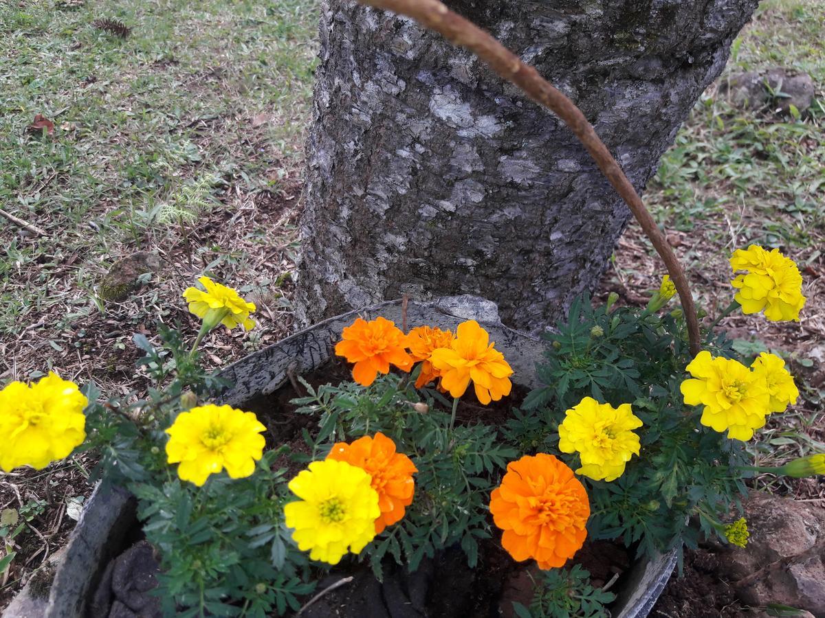 Sitio Recanto Catuci * Gramado