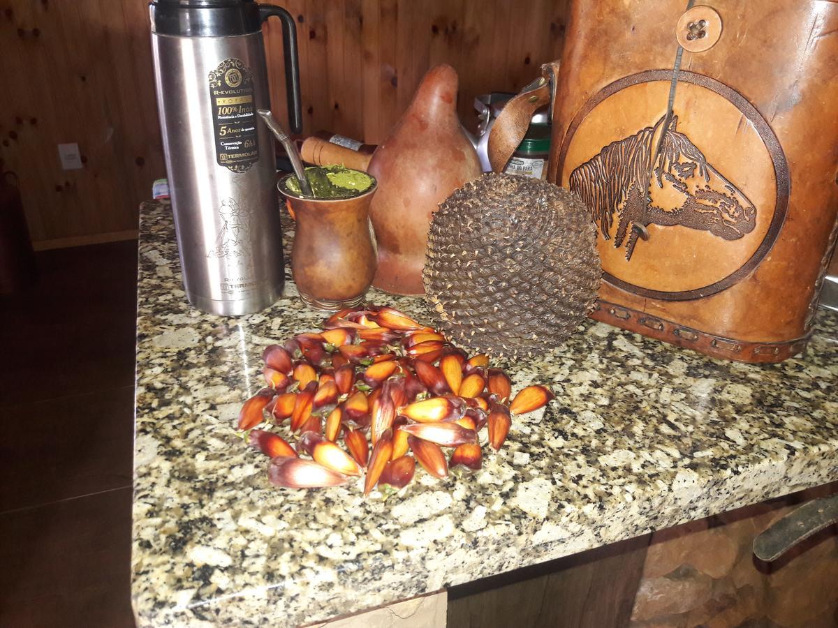 Sitio Recanto Catuci Alojamento