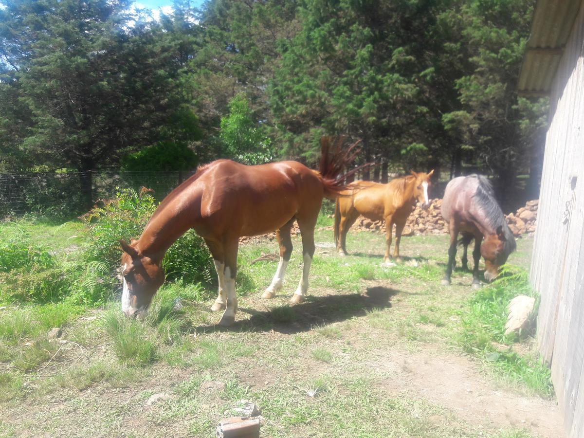 Sitio Recanto Catuci Alojamento