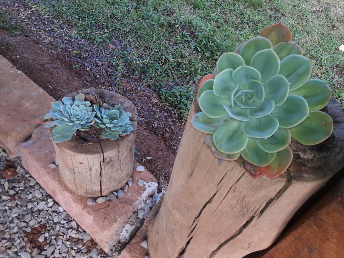 Sitio Recanto Catuci Alojamento *
