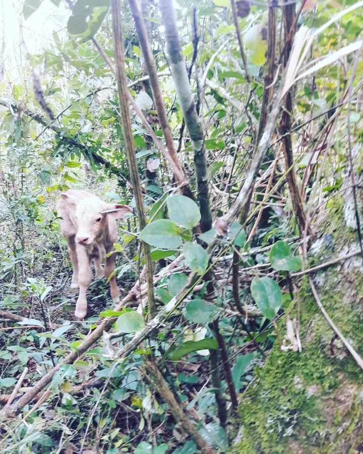 Sitio Recanto Catuci *