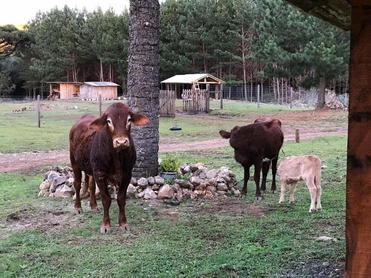 Sitio Recanto Catuci Alojamento