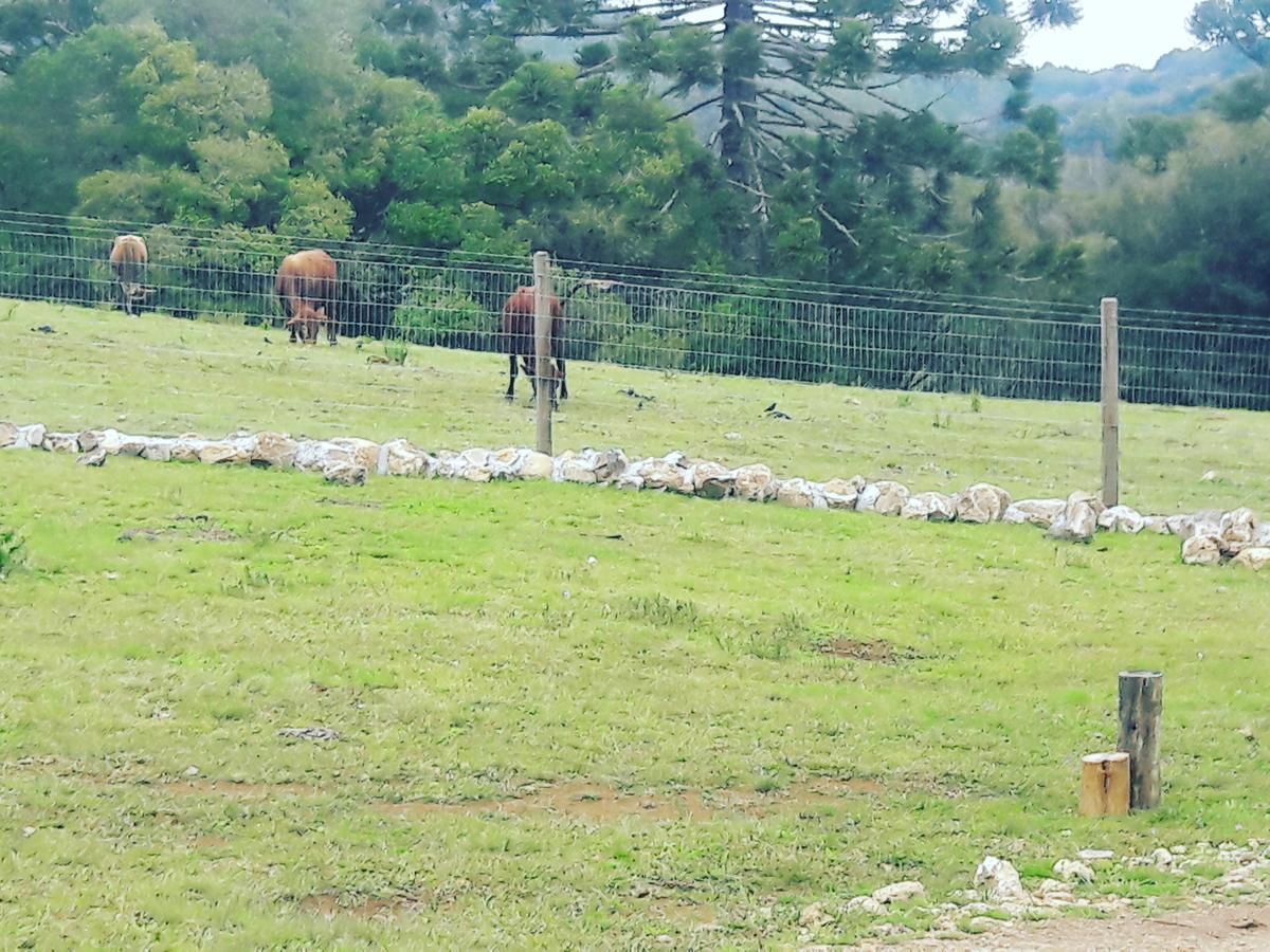 Sitio Recanto Catuci * Gramado