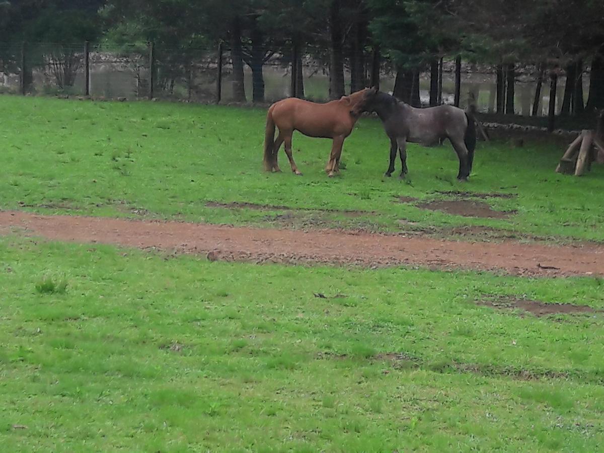 Sitio Recanto Catuci Alojamento Gramado