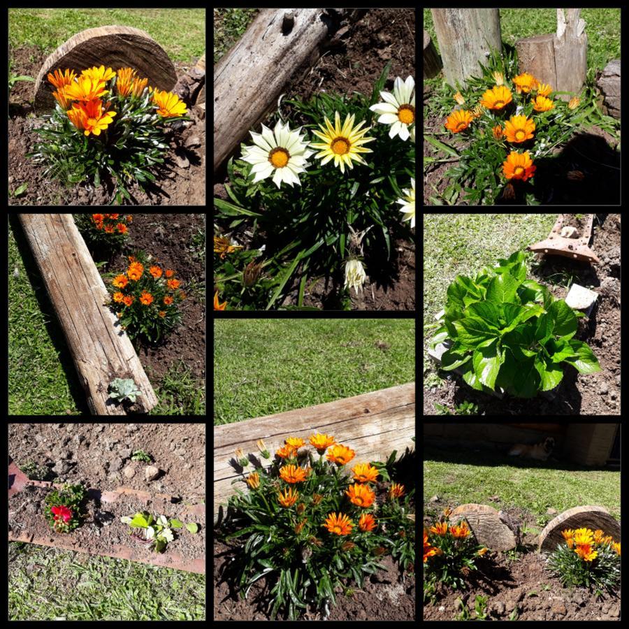 Sitio Recanto Catuci Alojamento Gramado
