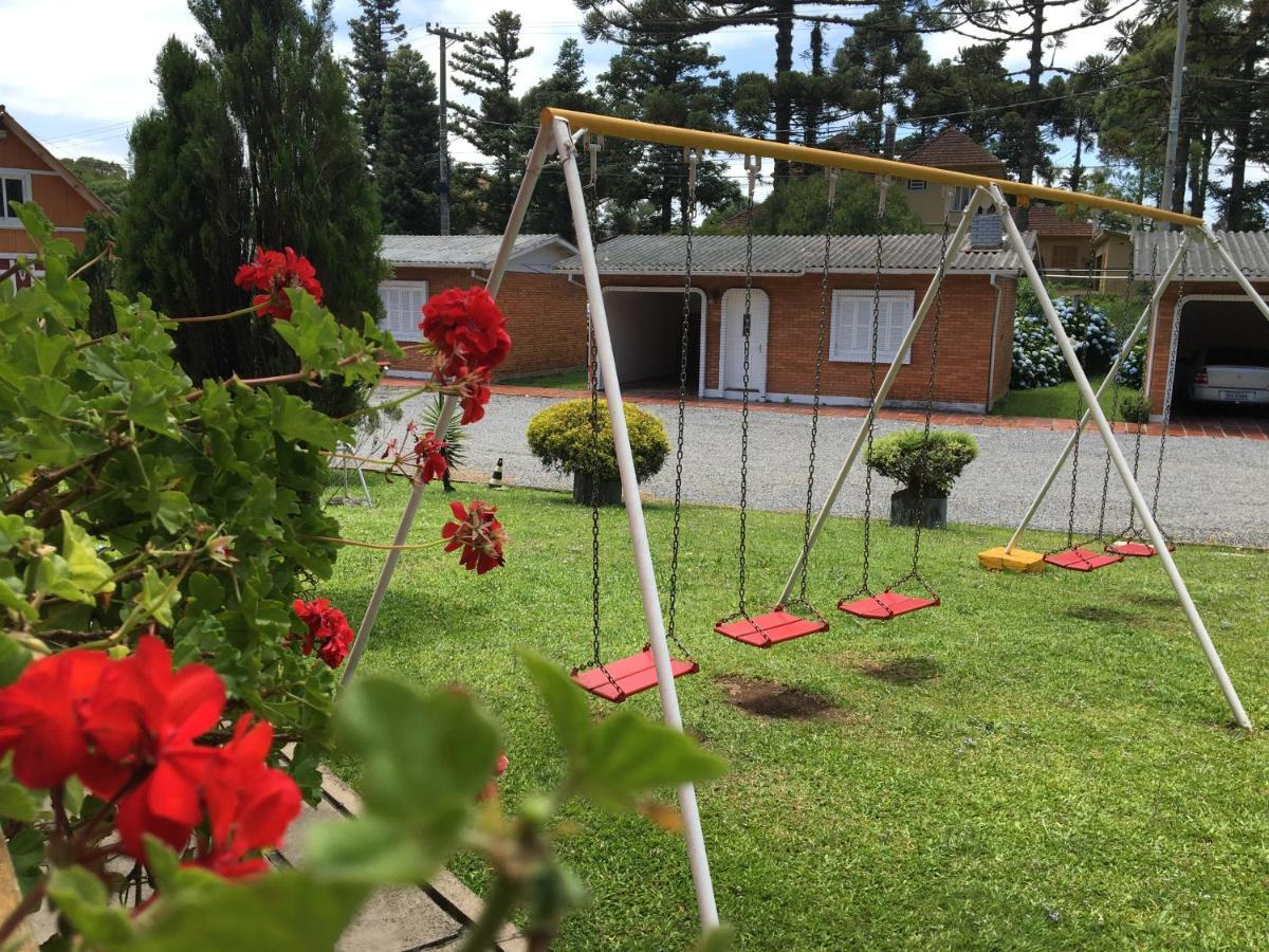 Galo Vermelho Gramado