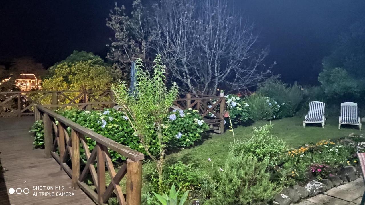 Geier Gramado